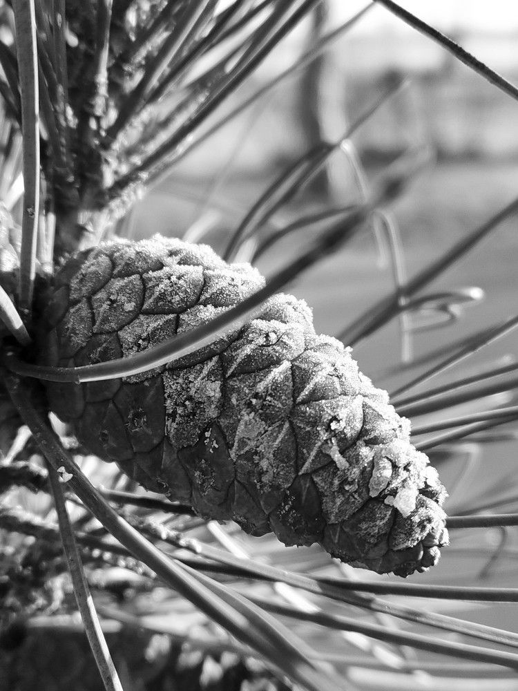 Photograph by Оксана Губанова