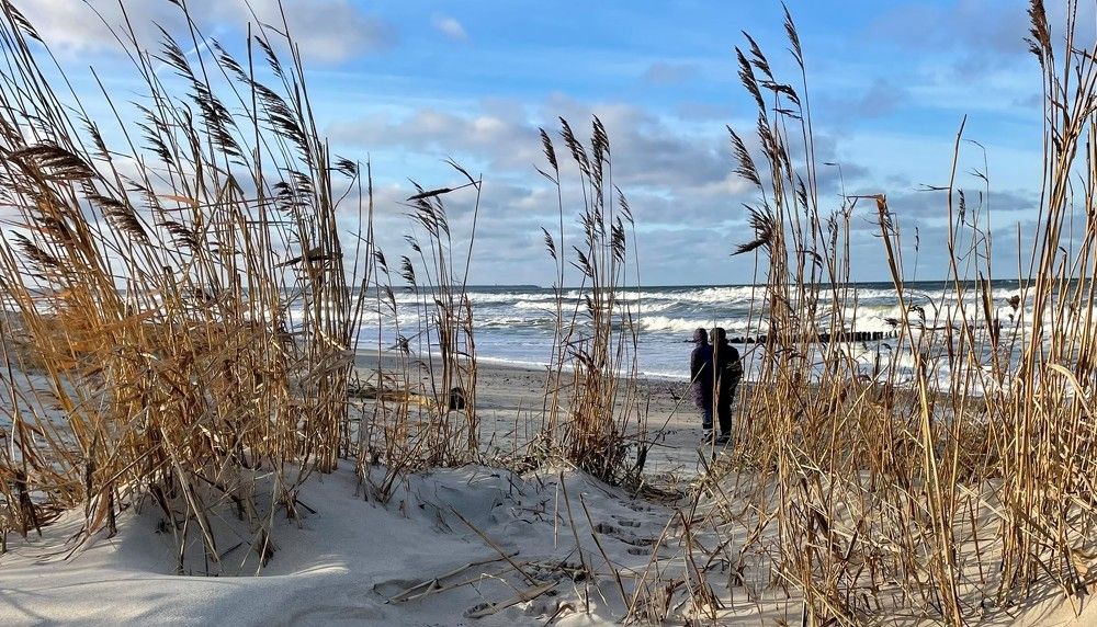 Photograph by Елена Докучаева