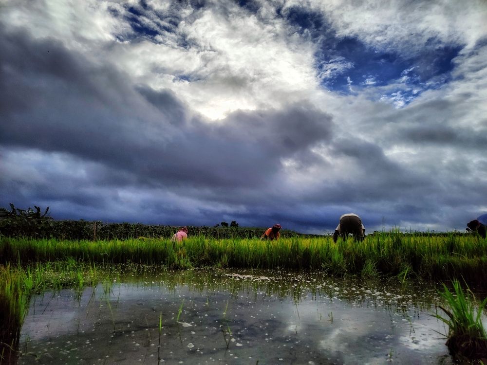 Photograph by Supritam S