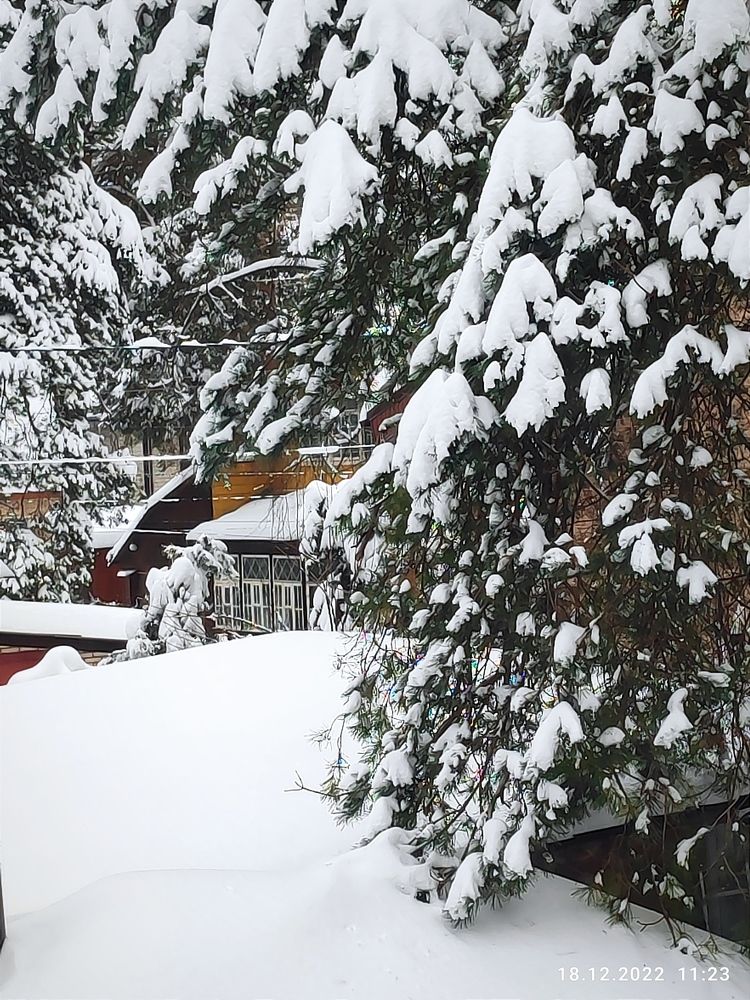 Photograph by Светлана Рубникович