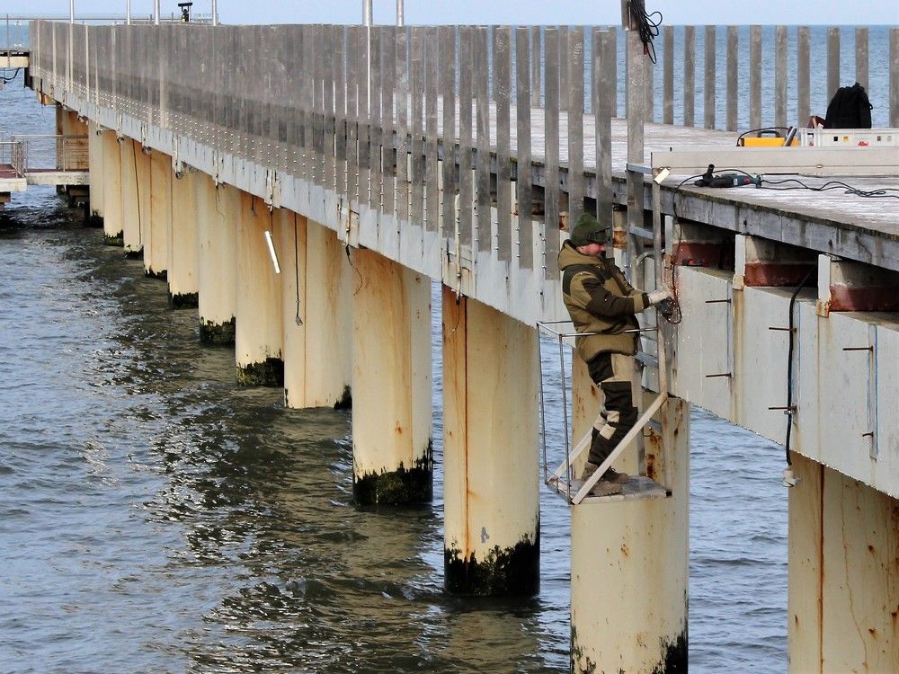 Photograph by Елена Докучаева