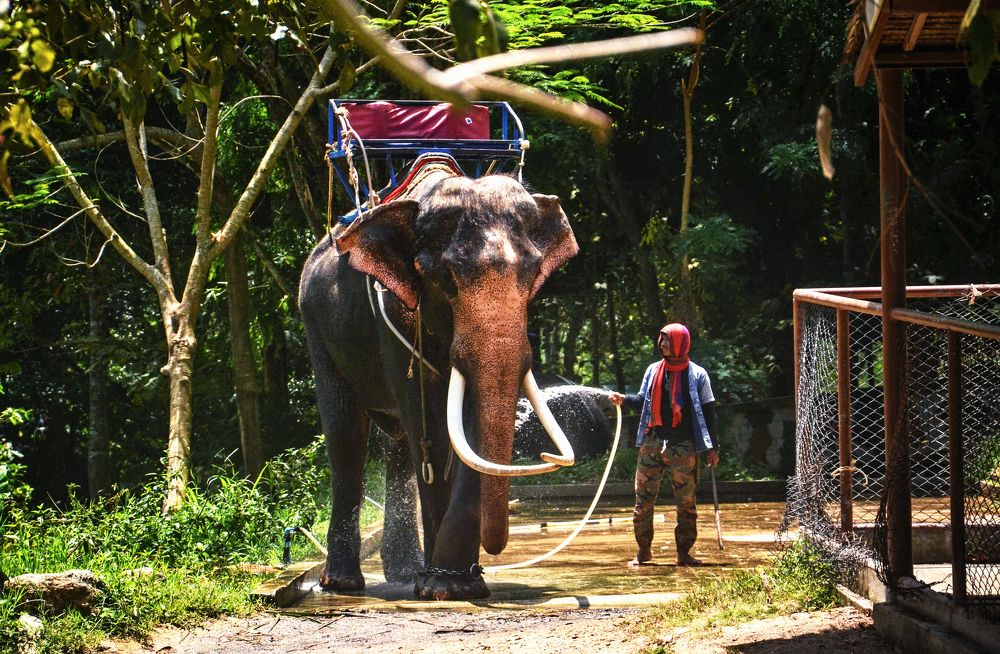 Photograph by Михаил Kolesnik