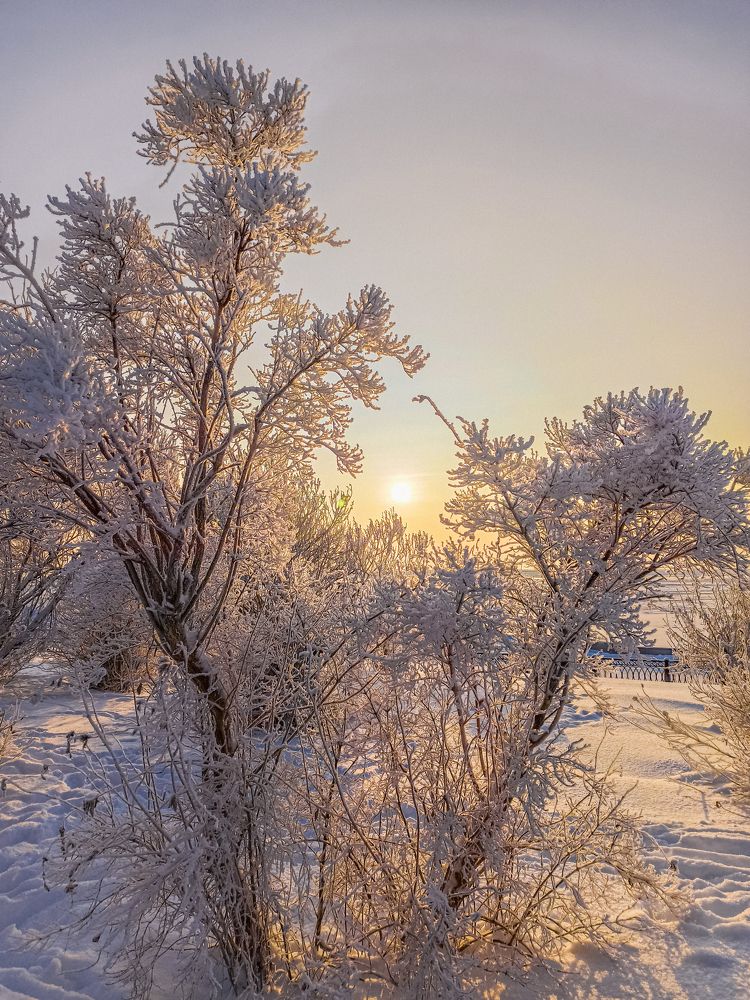 Photograph by Ольга Ситникова