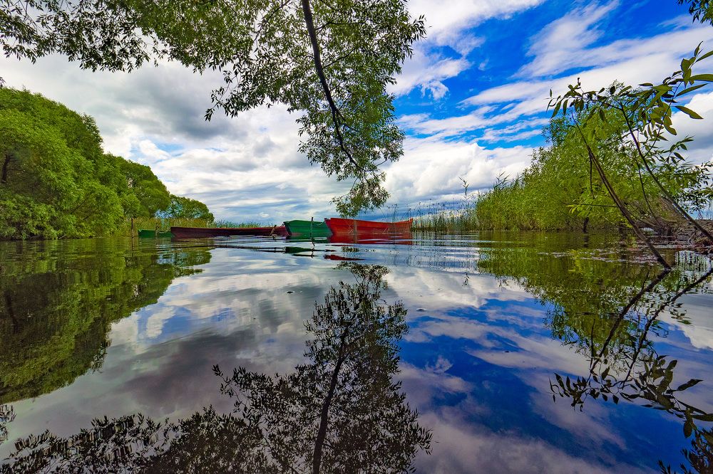 Photograph by Дмитрий Потапов