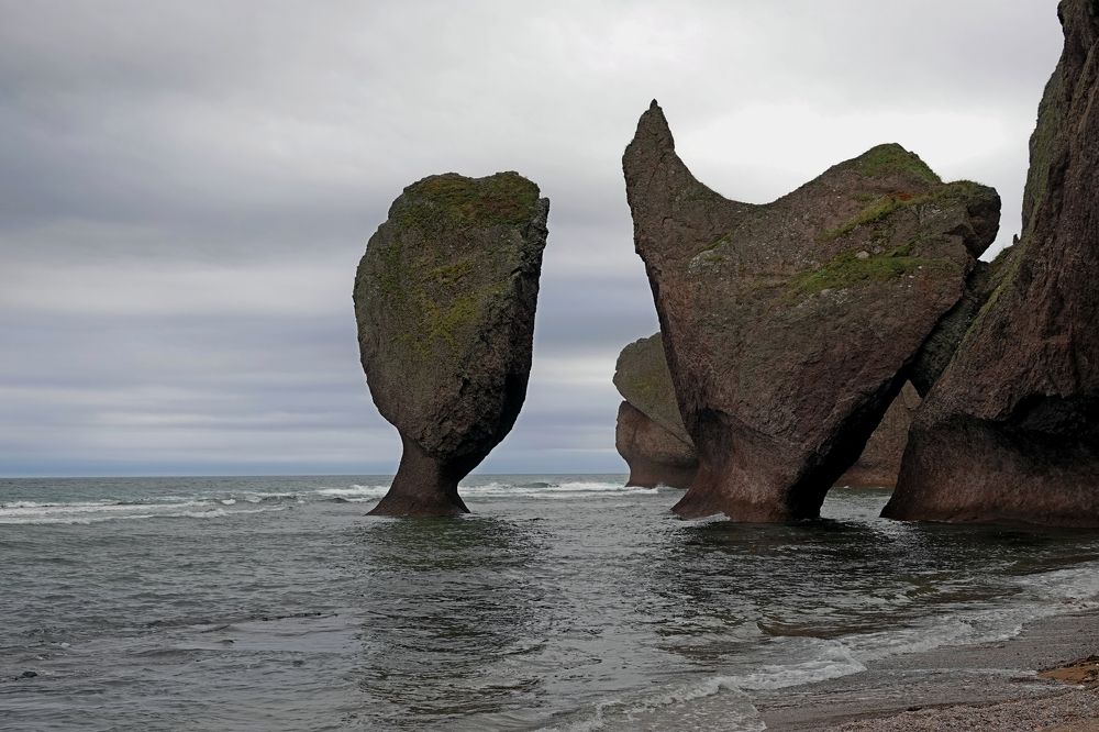 Photograph by Анастасия