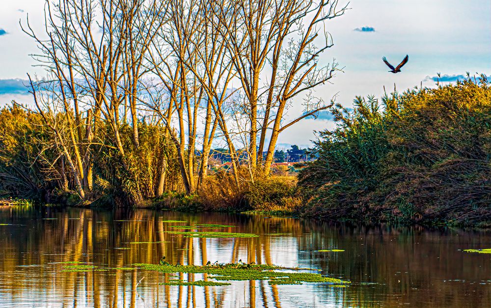 Photograph by Jose Carvalho