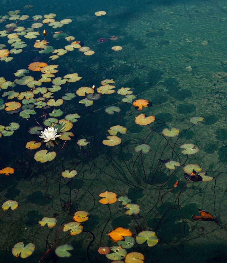 Фотография автора Galina Sa