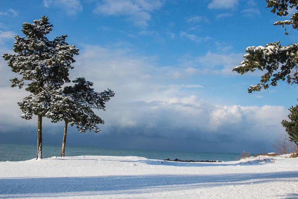 Photograph by Елена Шахова