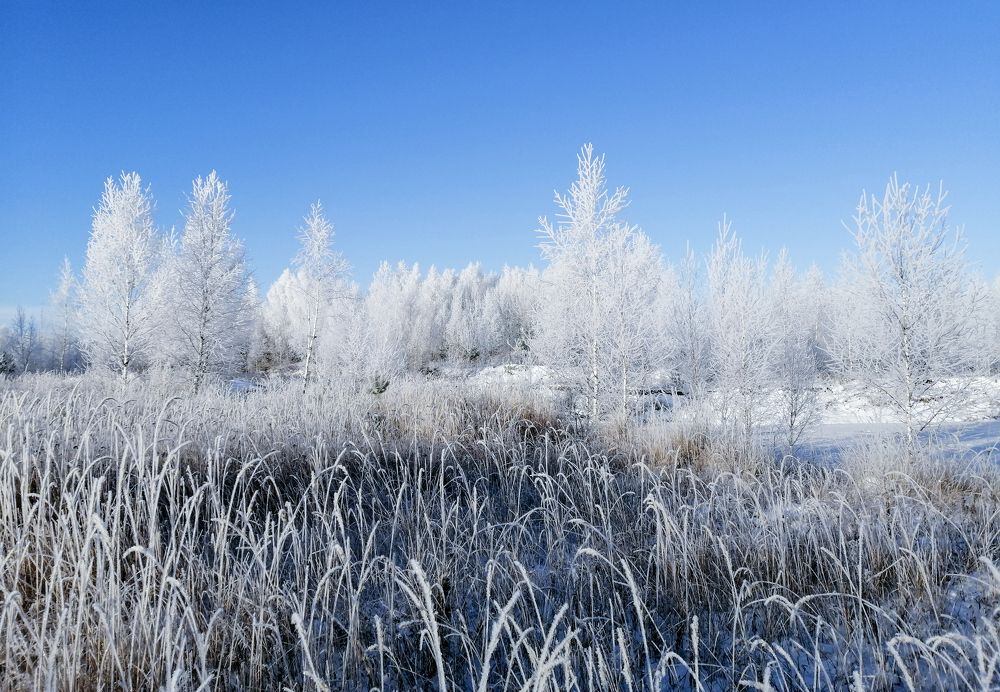 Photograph by Denis Romanov