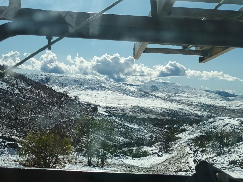Photo #8625148