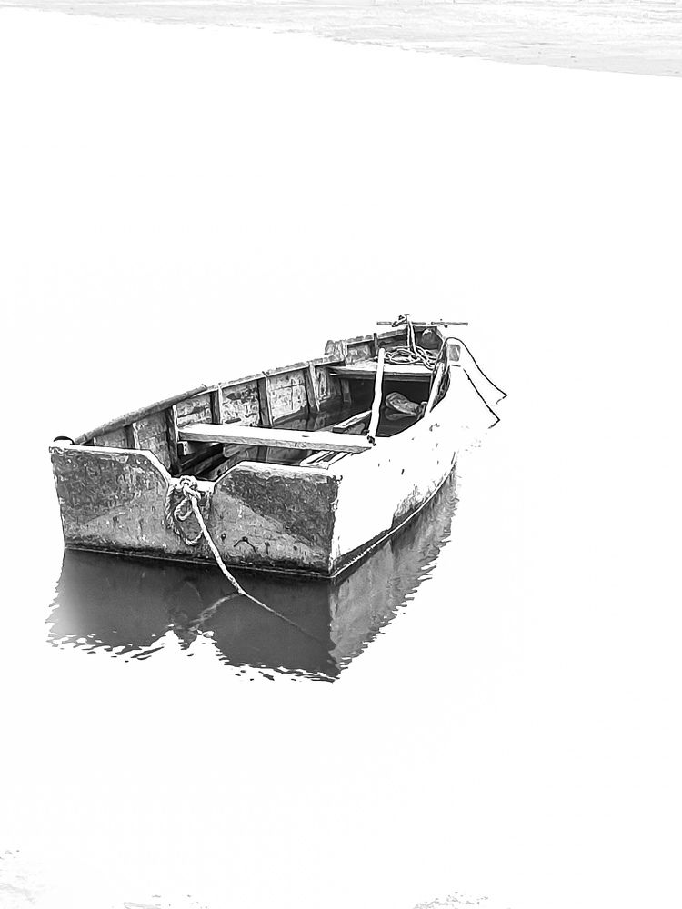 Photograph by Liliana Ospina staaden