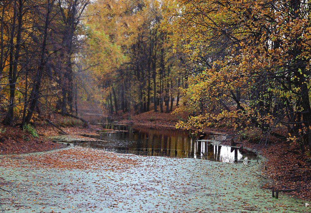 Photograph by Larisa Usova