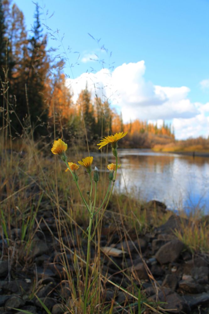 Photograph by Вероника Герасимова