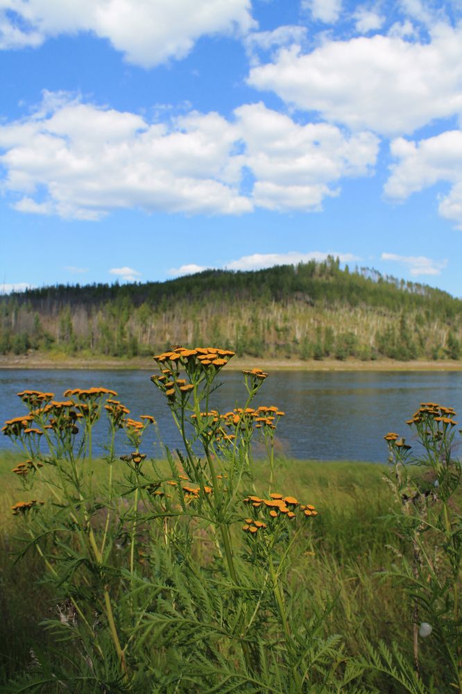 Photograph by Вероника Герасимова