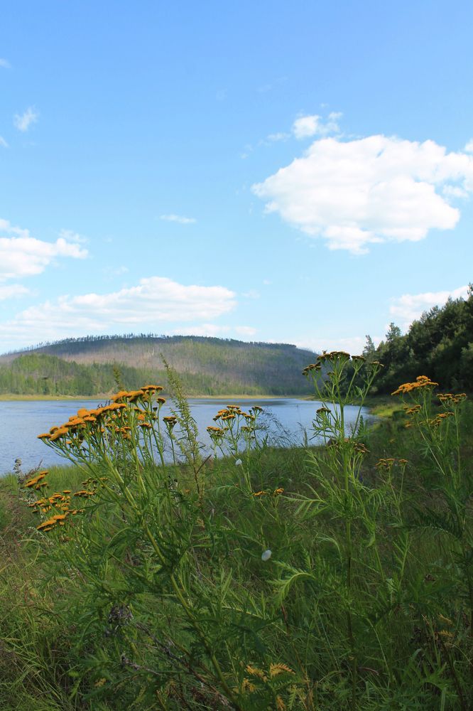 Photograph by Вероника Герасимова