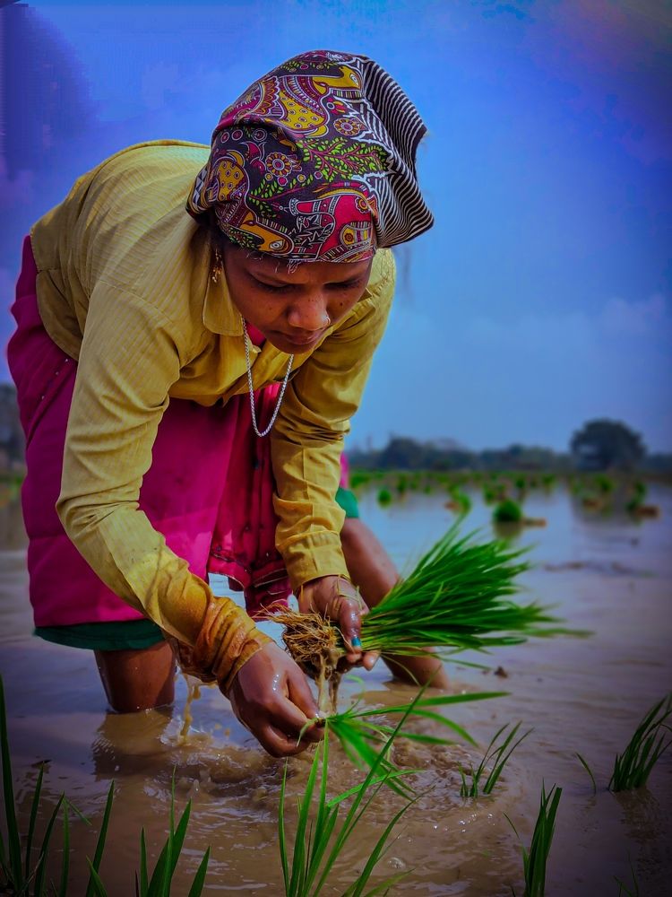 Photograph by DEEPAK PRADHAN