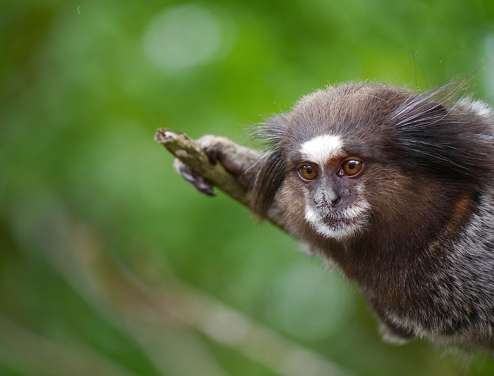 Photograph by Laura dias sanglard