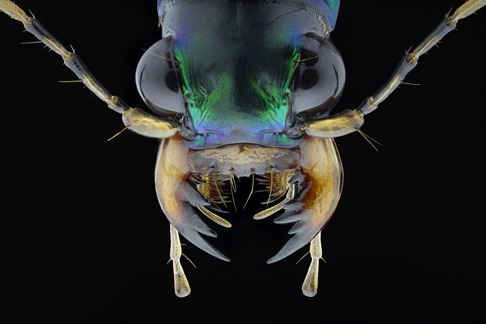 Photograph by Marco Retana