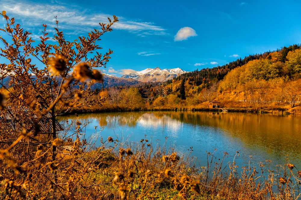 Photograph by EKATERINA WALTER