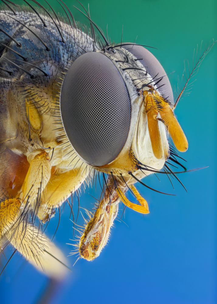 Photograph by Marco Retana