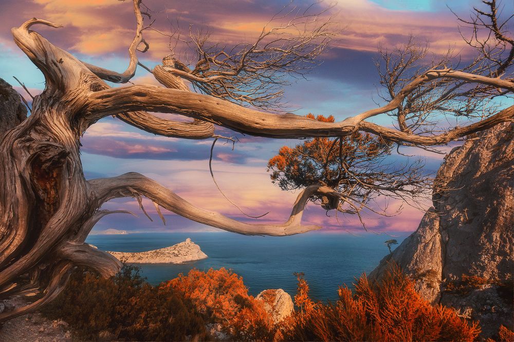 Photograph by Костенко Александр