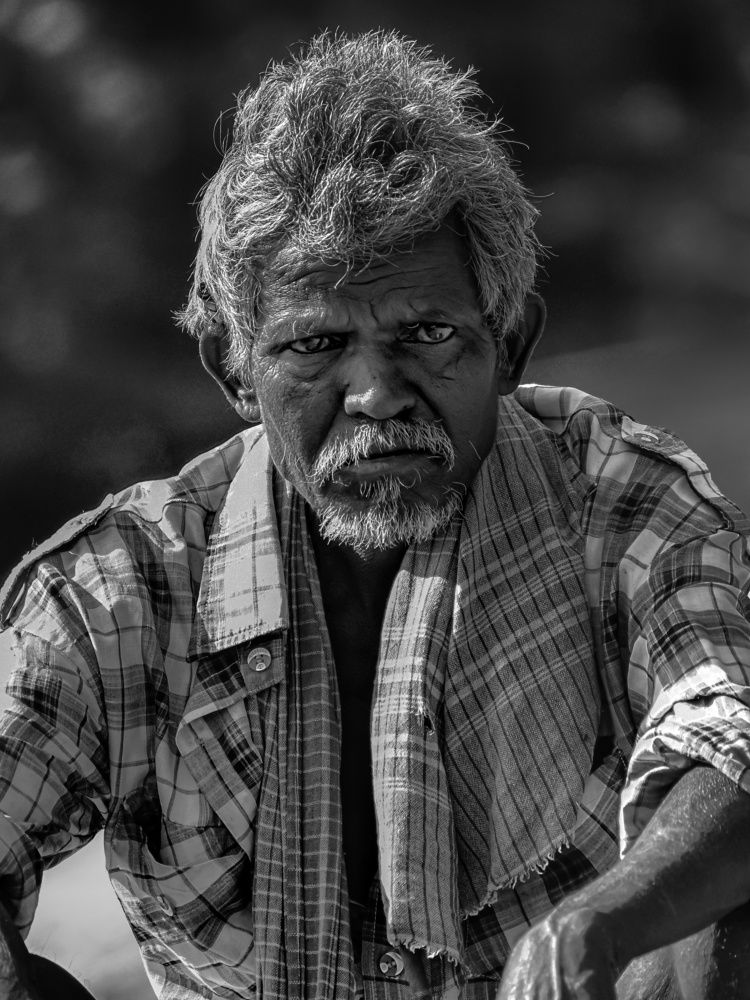 Photograph by SAIKAT PAL