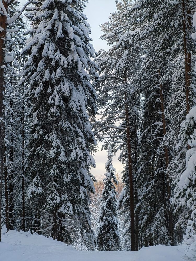 Photograph by Alexandr