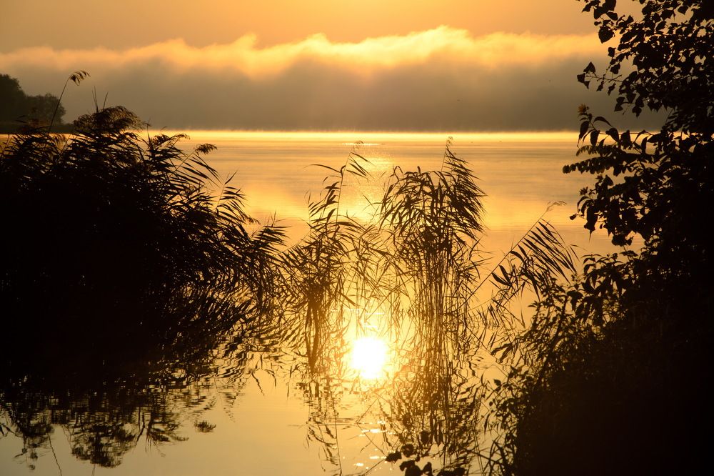 Photograph by Оксана Маховская