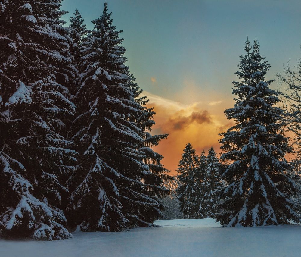 Photograph by Ольга Попова