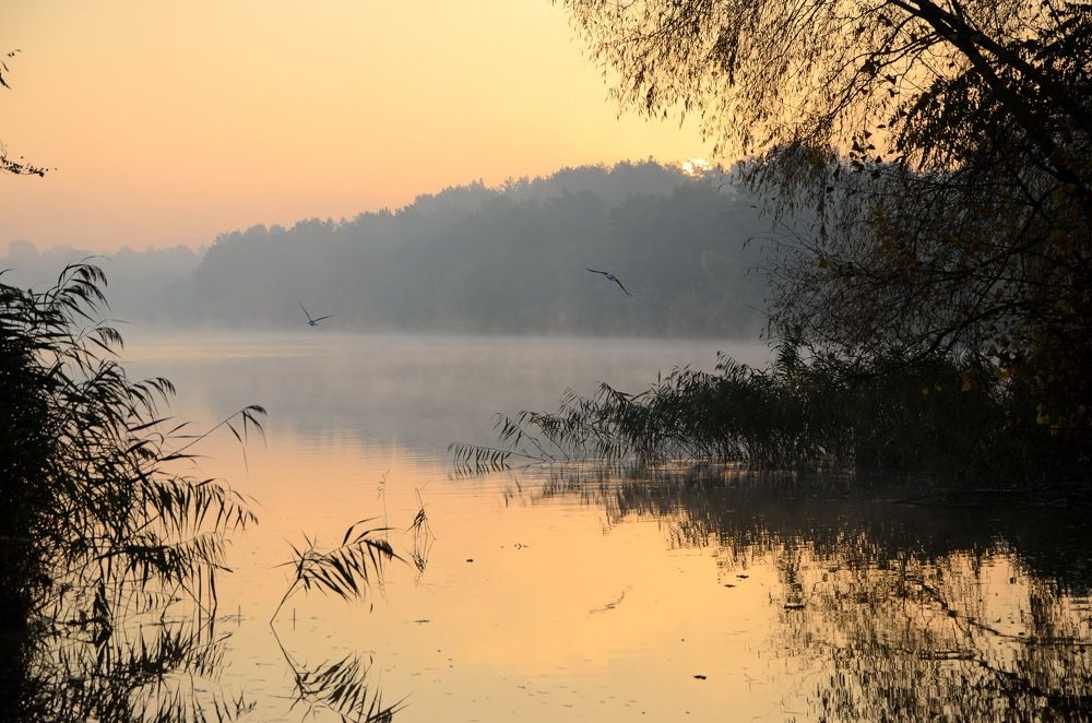 Photograph by Оксана Маховская