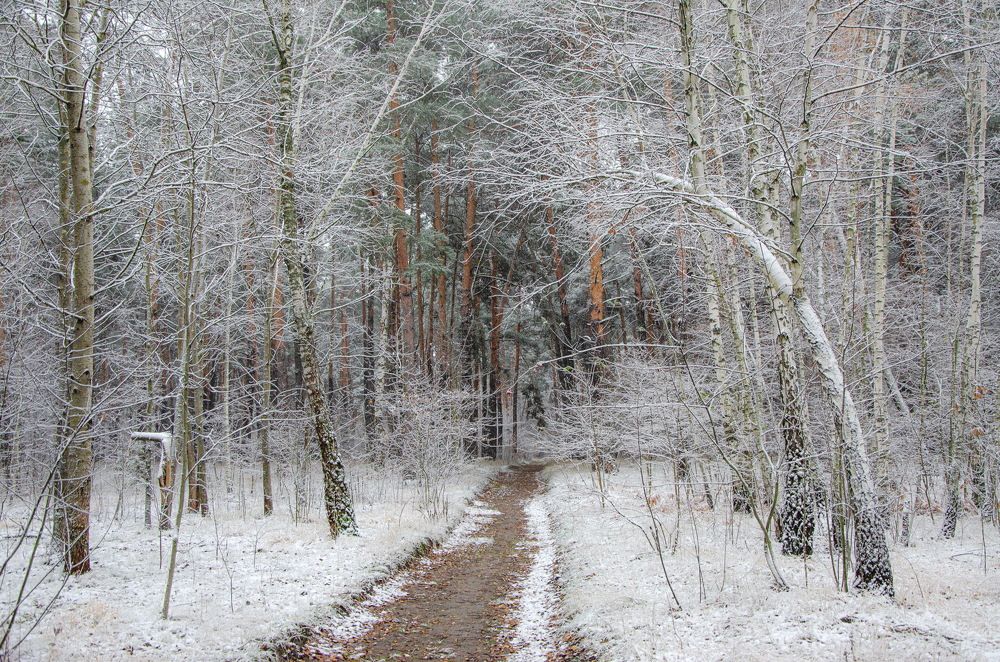 Photograph by Оксана Маховская