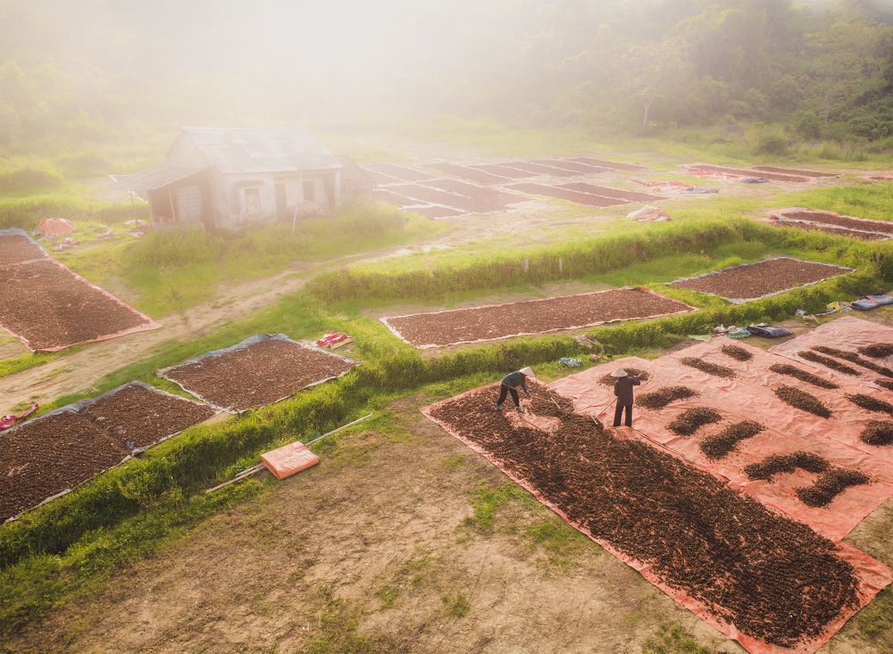 Photograph by Minh Chu Van