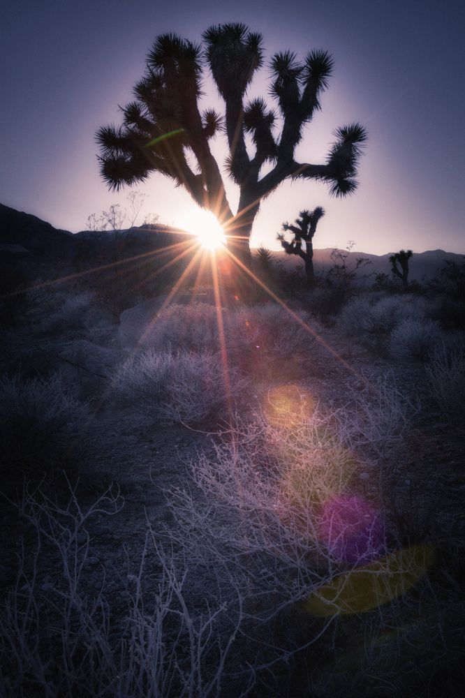 Photograph by Okselenko Oleg