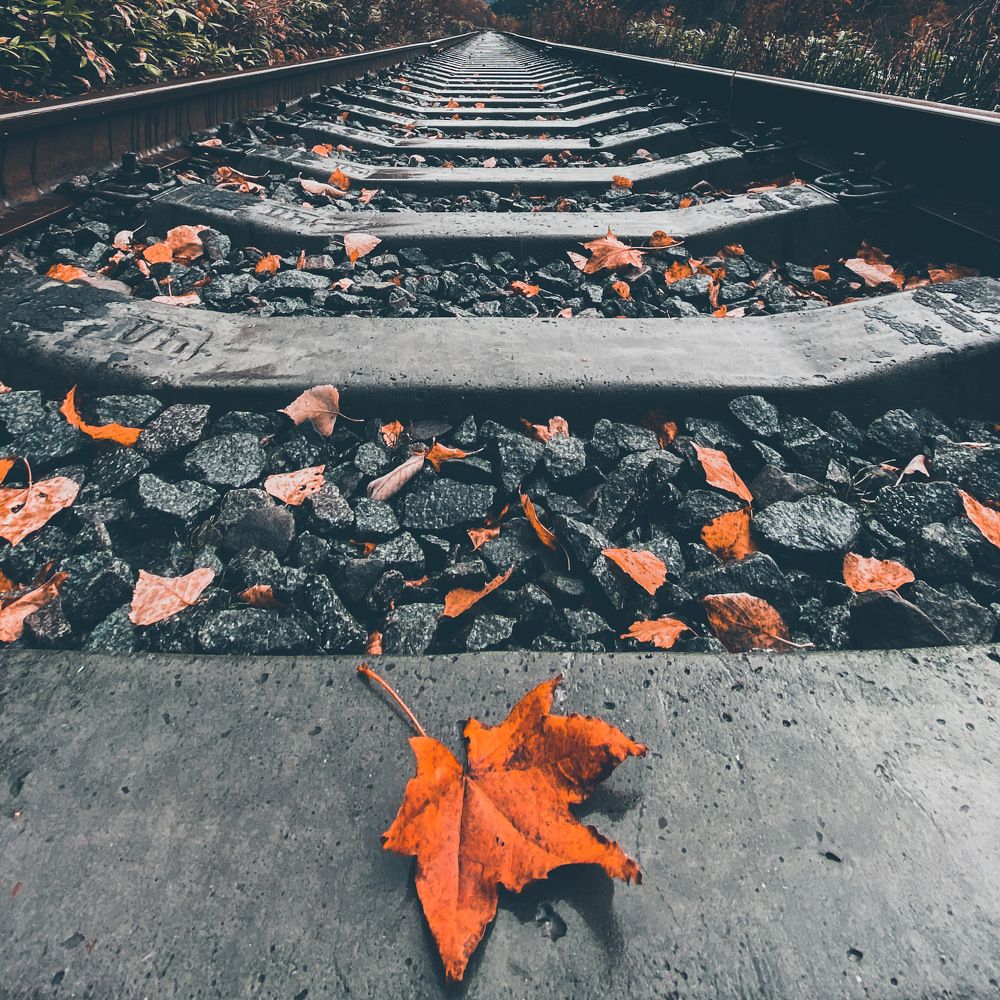 Photograph by Козинец Александр