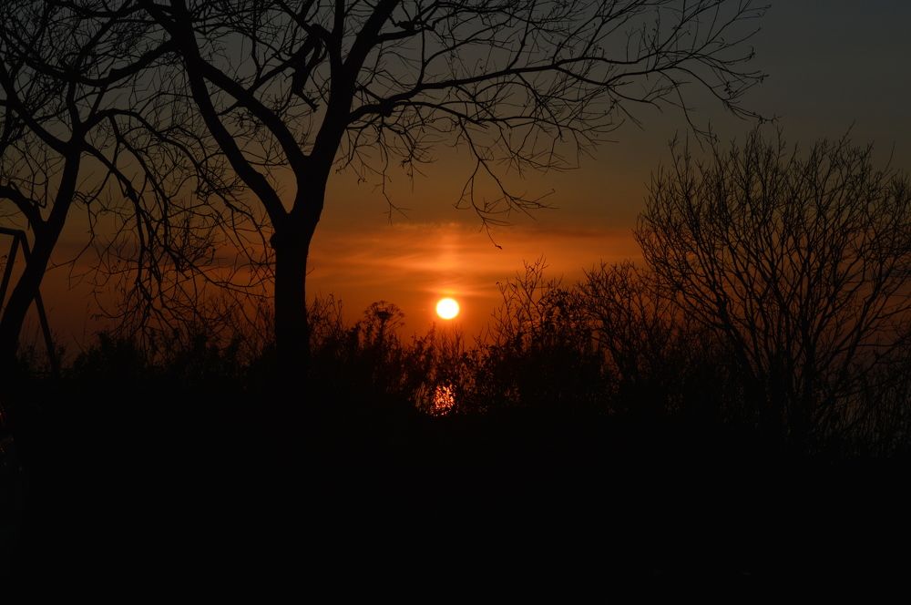 Photograph by Маргарита Бондаренко