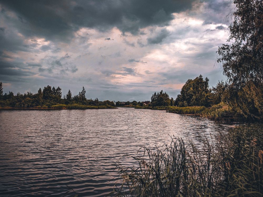 Photograph by Владимир Гвозд