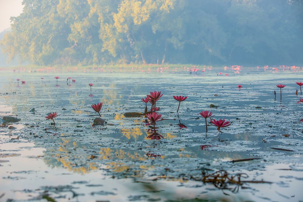 Photograph by Razin Chowdhury