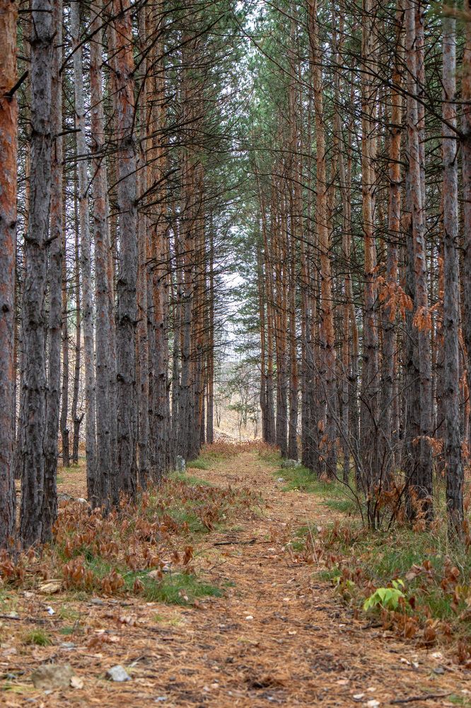 Photograph by Vitaly Lapin