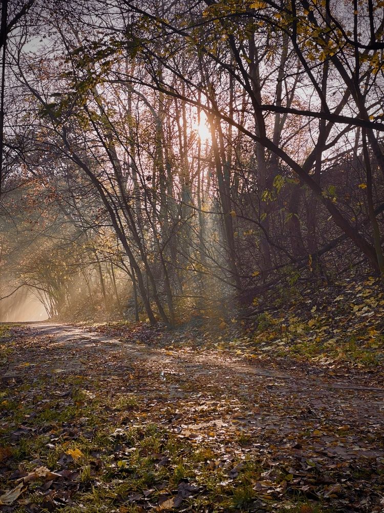 Photograph by Инна Капчинская