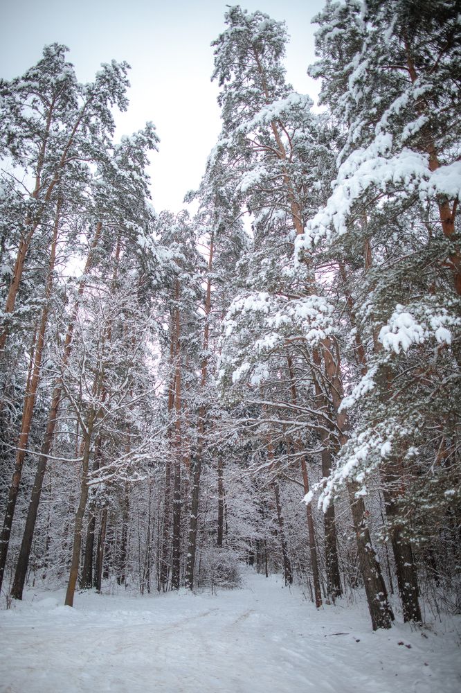 Photograph by Елена Копылова