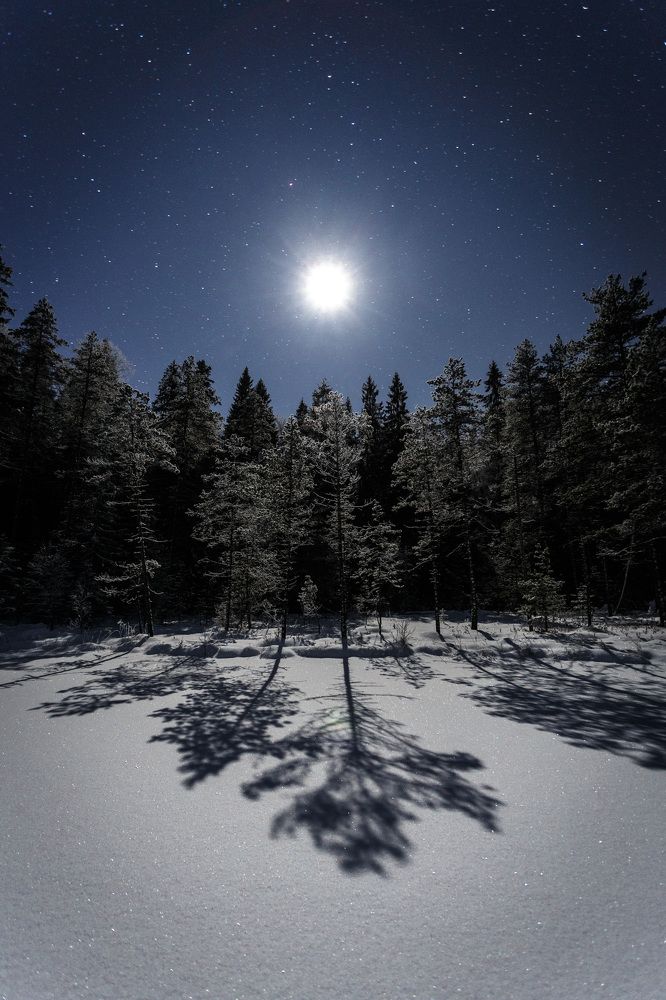 Photograph by Timothy Shutov