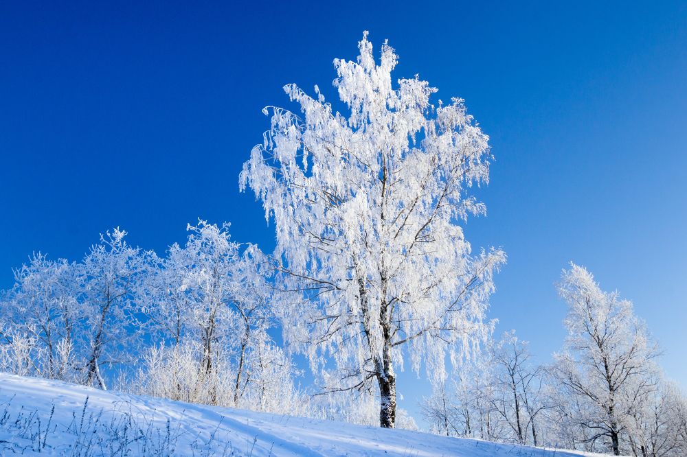 Photograph by Timothy Shutov