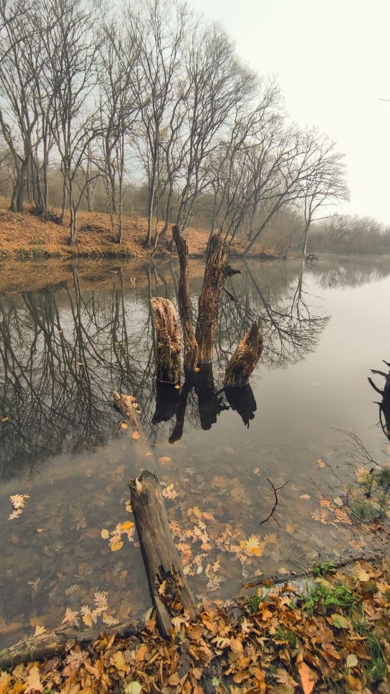 Photograph by Ирина Подосинникова