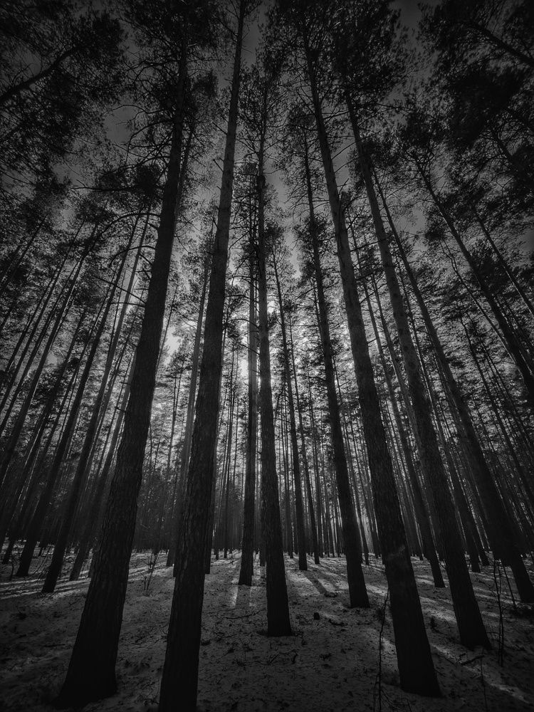 Photograph by Konstantin Martynov