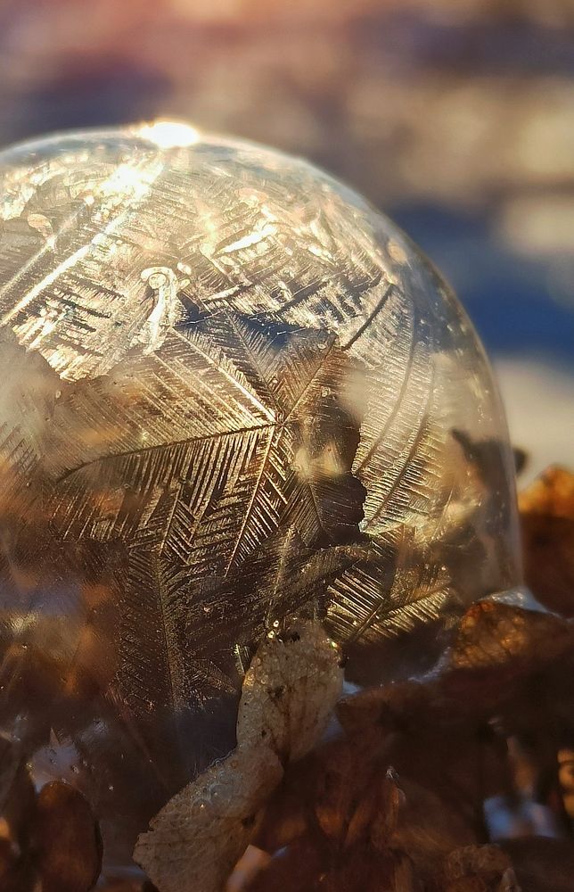 Мыльный пузырь