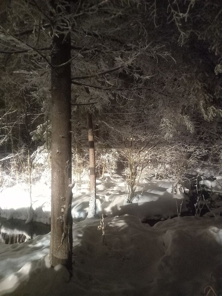 Photograph by Мария Гостева