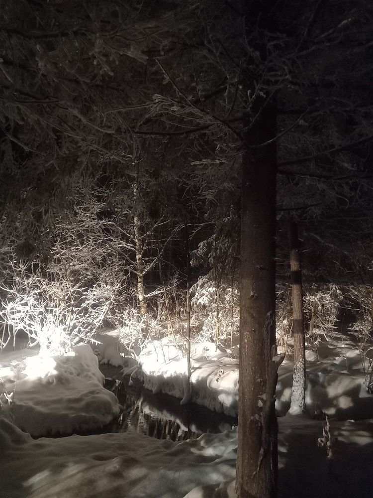 Photograph by Мария Гостева