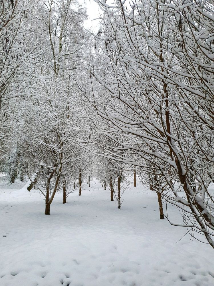 Photograph by Екатерина