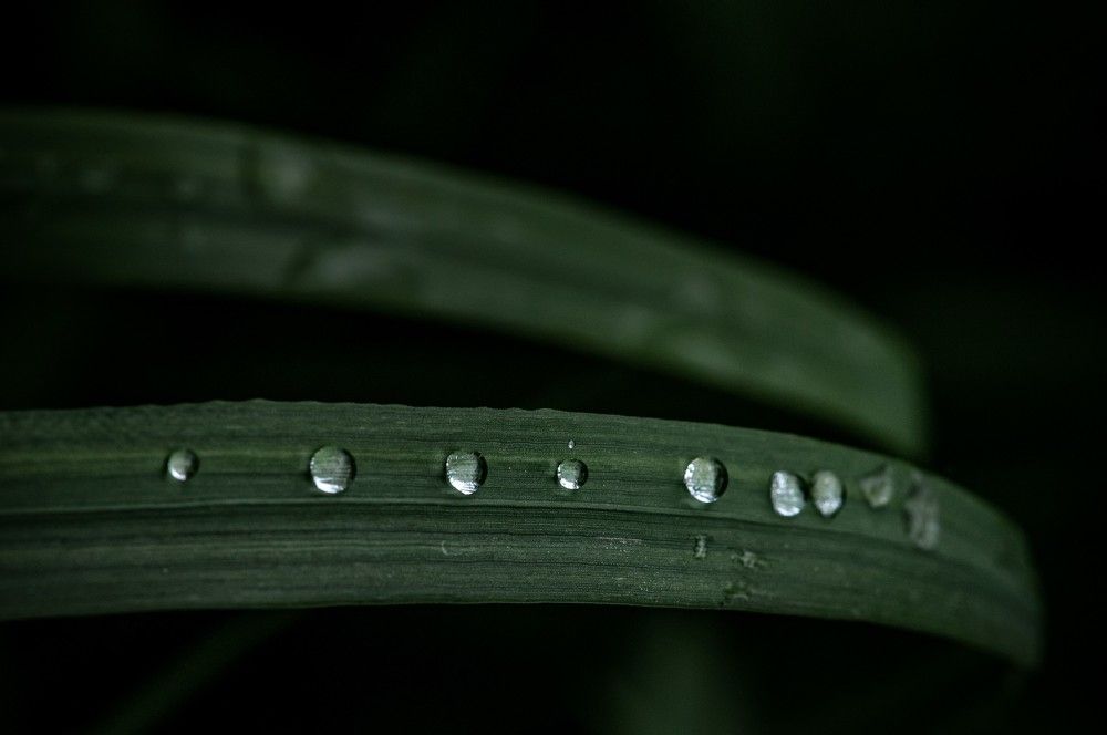 Photograph by Лобанов Денис