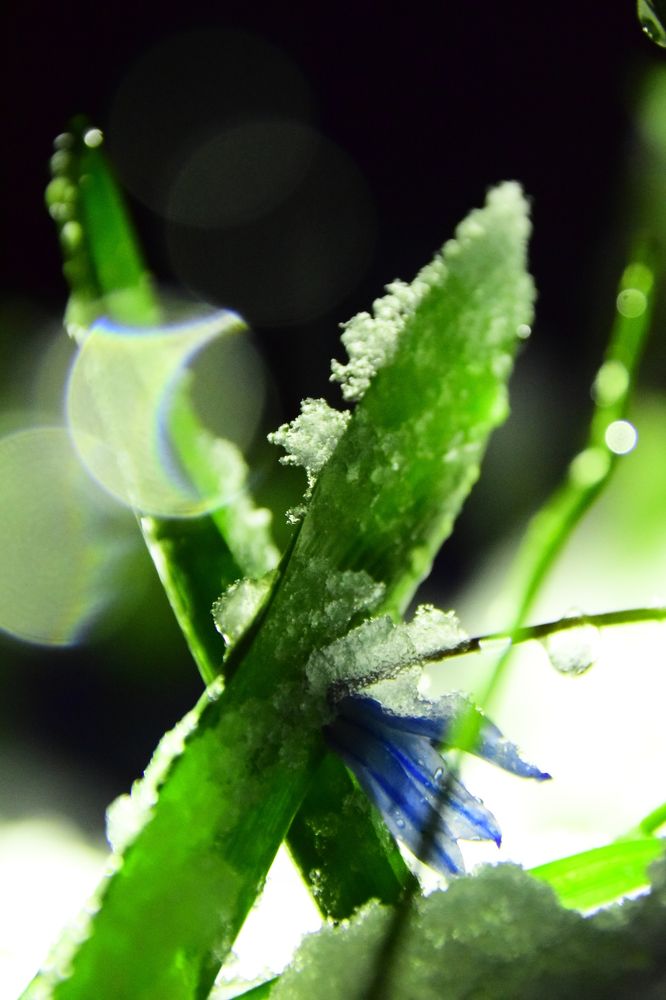 Photograph by Ольга Рыкова